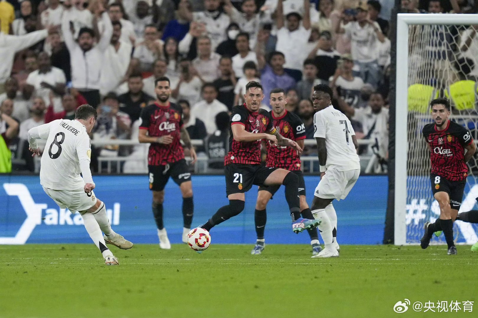 连胜终结！西班牙队乒乓球赛事中意外终止连败的简单介绍